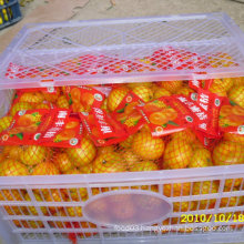 New Crop Fresh Nanfeng Baby Mandarin